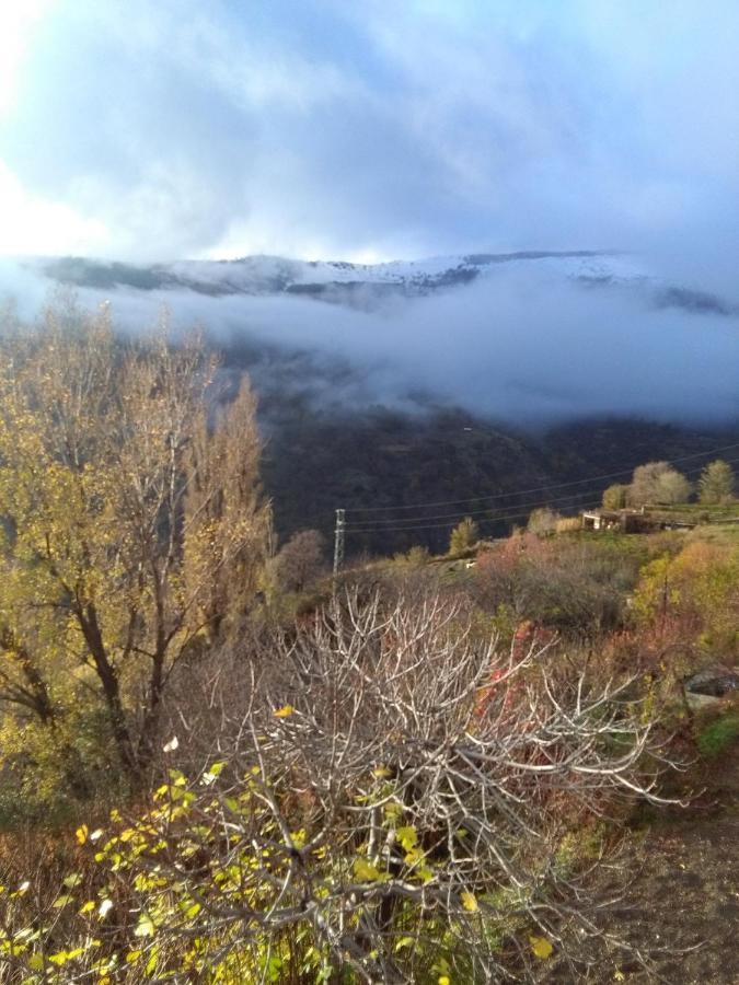 La Locana Διαμέρισμα Bubión Εξωτερικό φωτογραφία