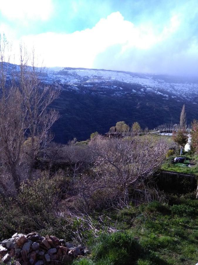 La Locana Διαμέρισμα Bubión Εξωτερικό φωτογραφία